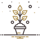 pot (1)